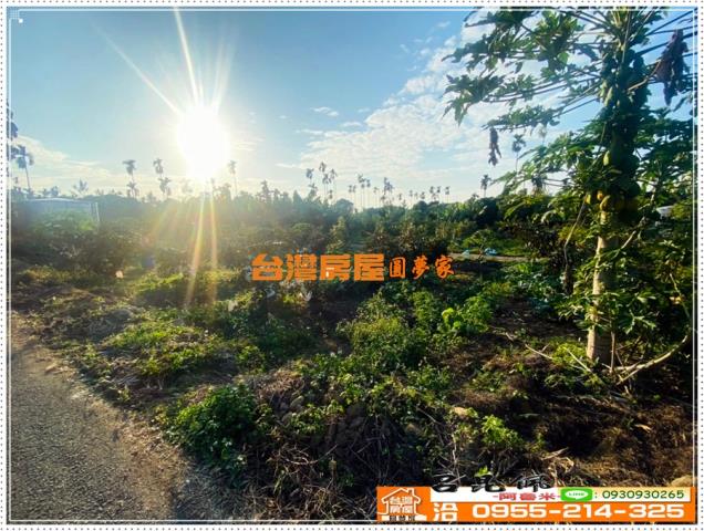 嘉義番路農地-10