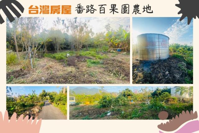 嘉義番路農地-1