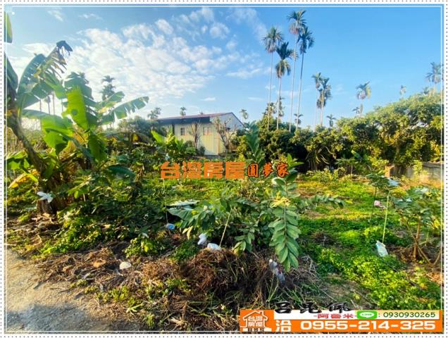 嘉義番路農地-2