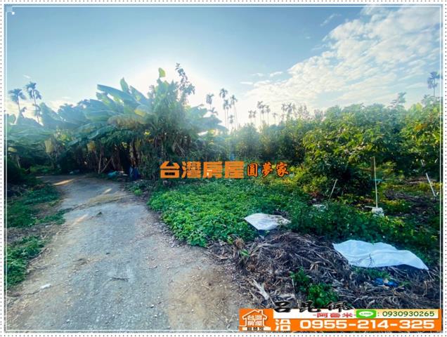 嘉義番路農地-3