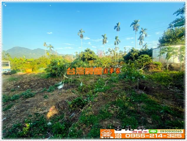 嘉義番路農地-4