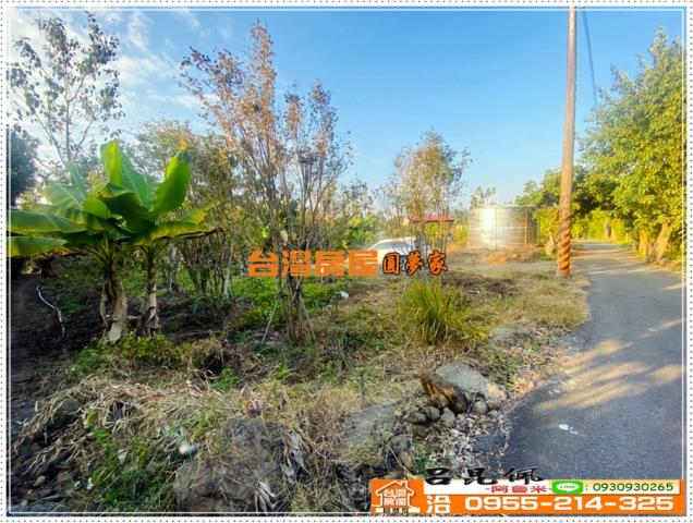 嘉義番路農地-5