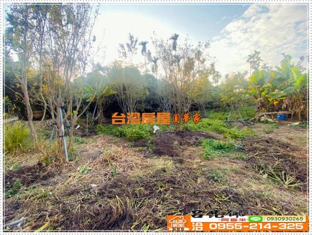 嘉義番路農地-6