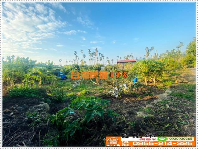 嘉義番路農地-7