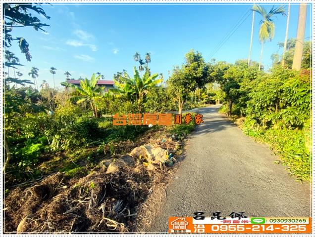 嘉義番路農地-9