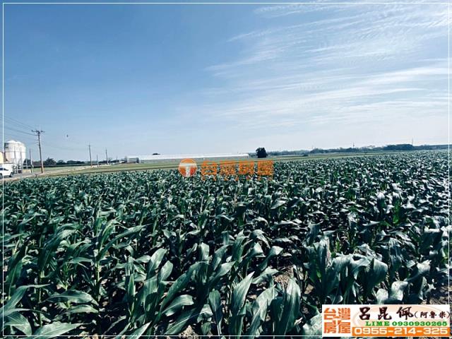 嘉義農地-3