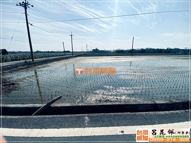 嘉義農地-6