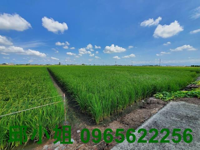 嘉義朴子農地-1