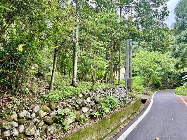 南投鹿谷農地-11