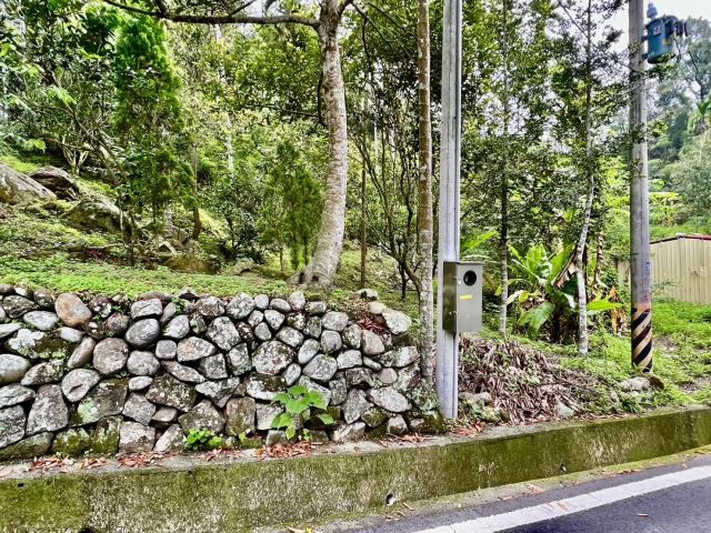 南投鹿谷農地-12