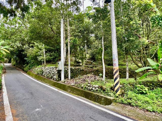 南投鹿谷農地-13