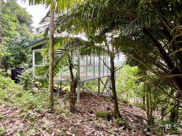 南投鹿谷農地-2