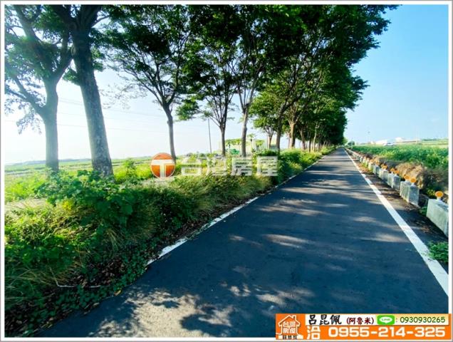 嘉義義竹農地-2