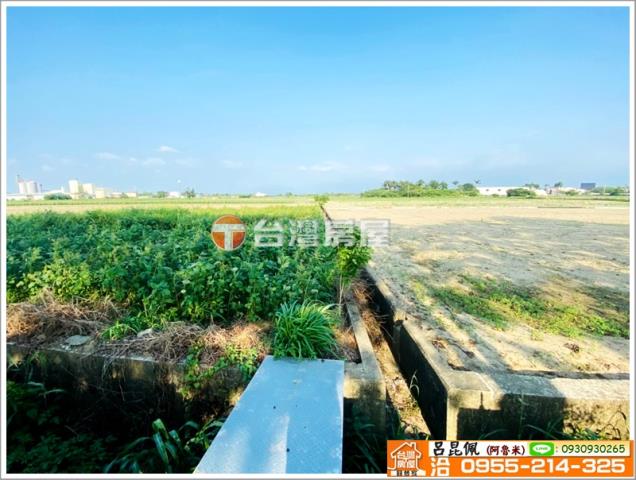 嘉義義竹農地-3