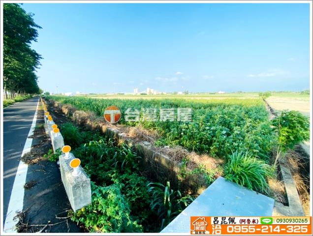 嘉義義竹農地-4