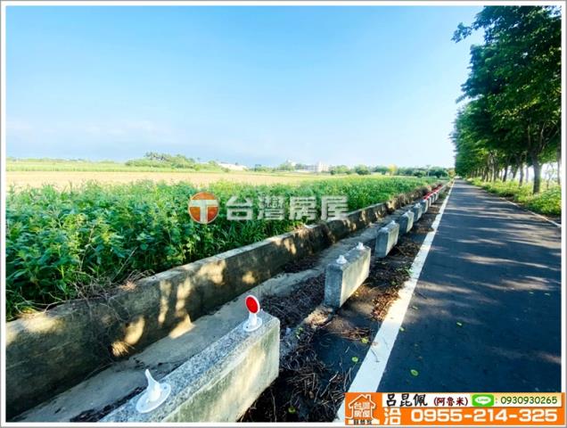 嘉義義竹農地-5