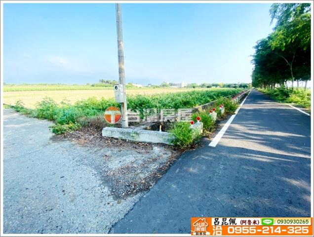 嘉義義竹農地-6