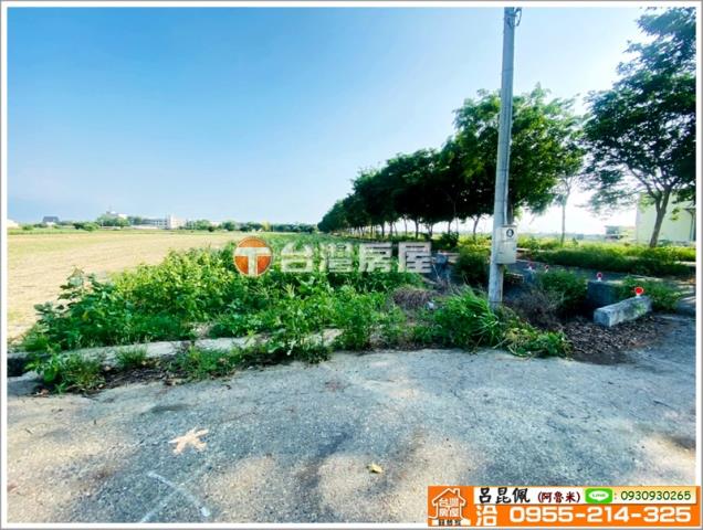 嘉義義竹農地-7