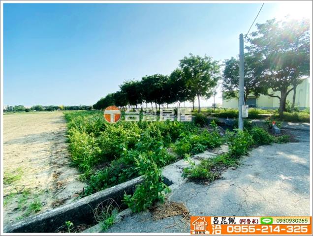 嘉義義竹農地-8