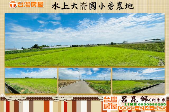 嘉義水上農地-1