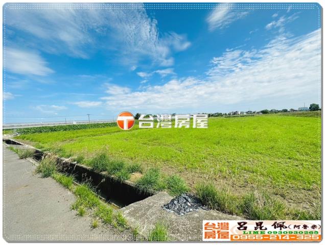 嘉義水上農地-3