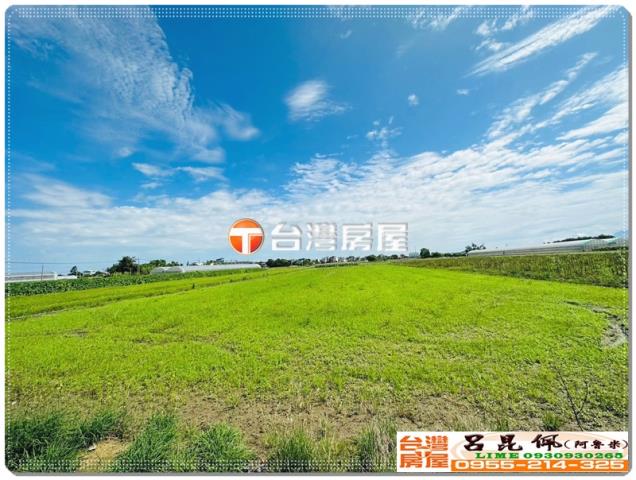 嘉義水上農地-4