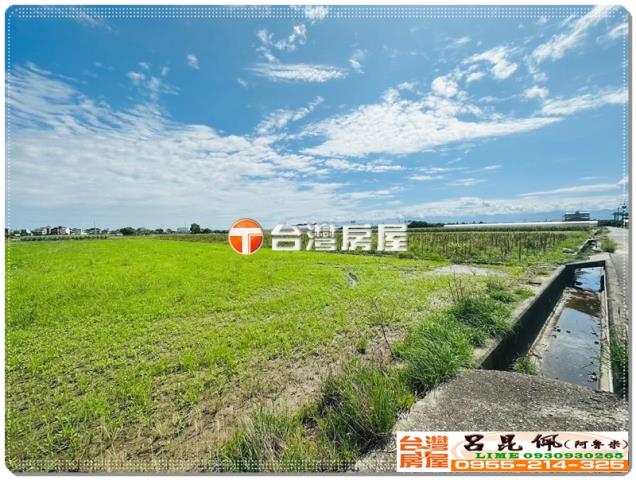 嘉義水上農地-5