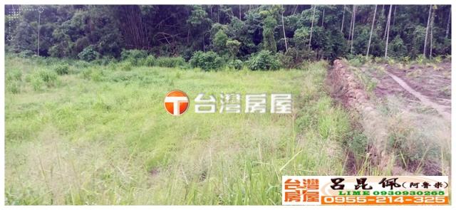 嘉義中埔農地-2