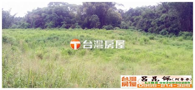 嘉義中埔農地-3