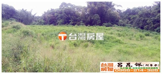 嘉義中埔農地-4