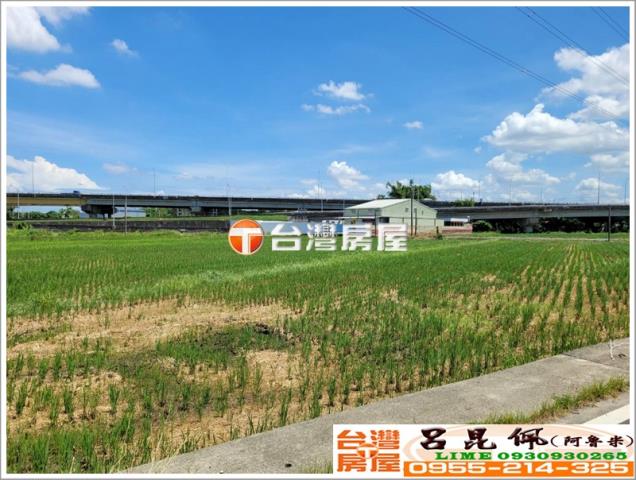 嘉義中埔農地-4
