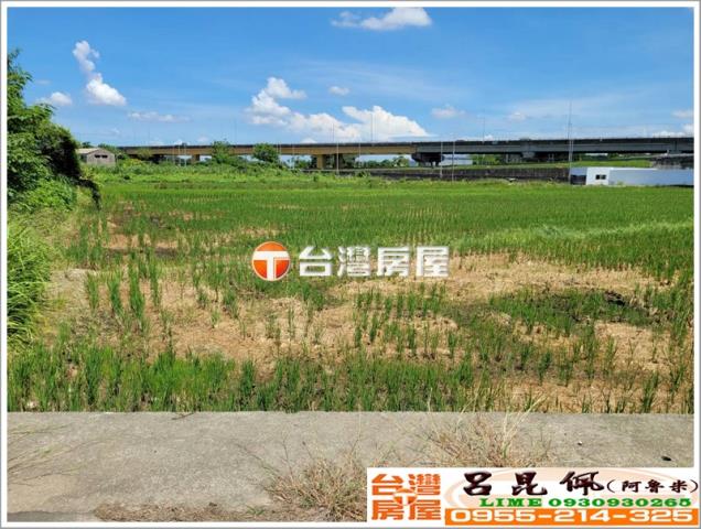 嘉義中埔農地-5