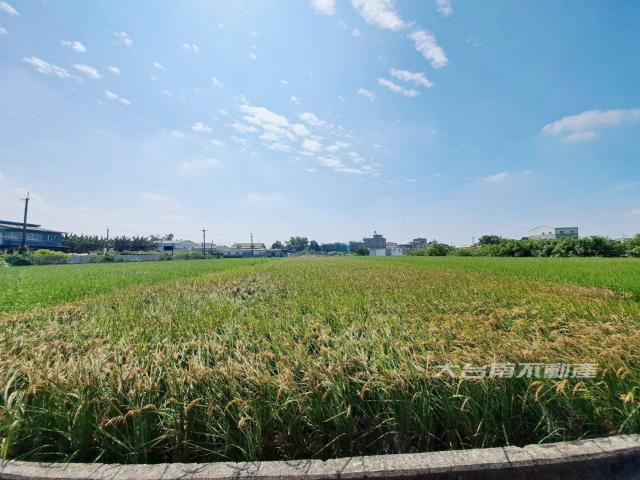 嘉義民雄農地-1