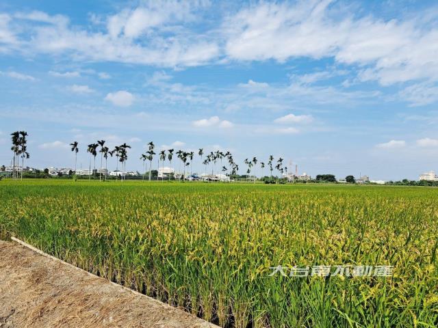 嘉義民雄農地-2