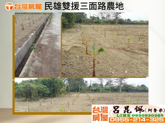 嘉義民雄農地-1