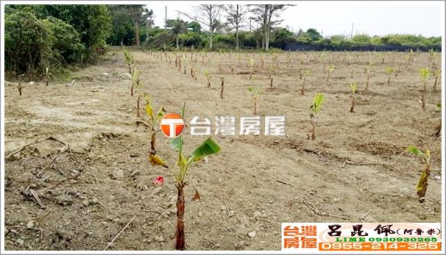 嘉義民雄農地-2