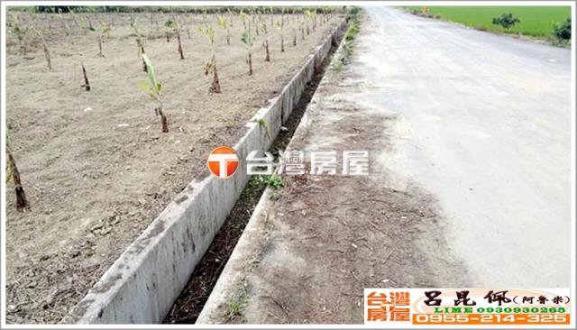 嘉義民雄農地-3