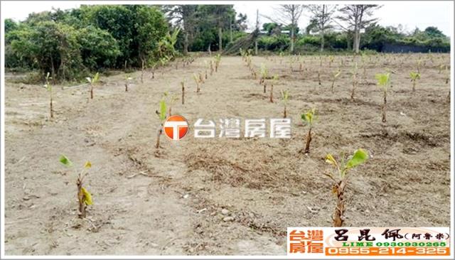 嘉義民雄農地-4