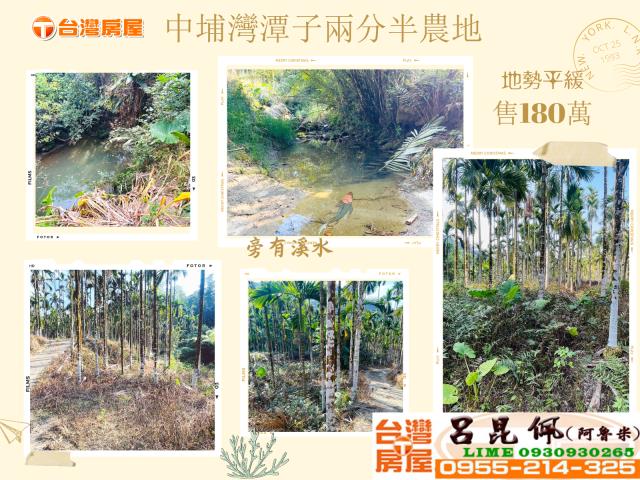 嘉義中埔農地-1