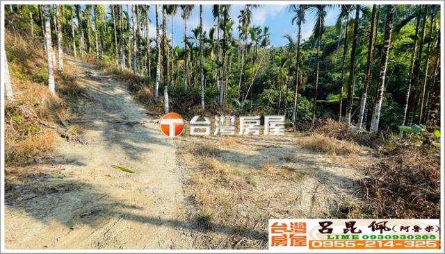 嘉義中埔農地-2