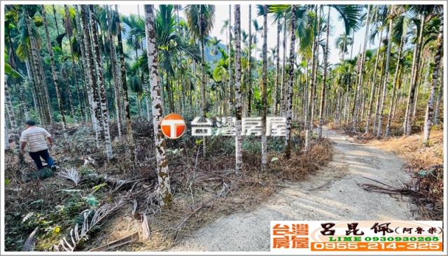 嘉義中埔農地-3