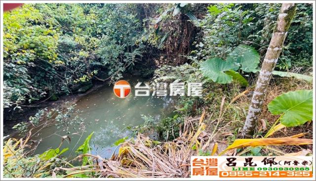 嘉義中埔農地-4