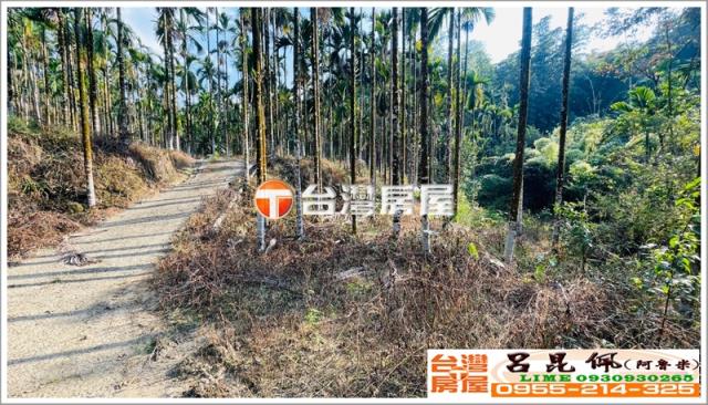 嘉義中埔農地-5