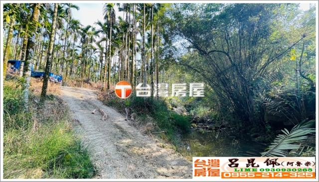 嘉義中埔農地-6