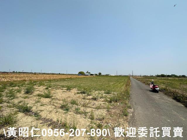 台南新市農地-1