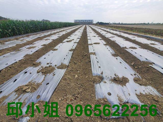 嘉義布袋農地-1