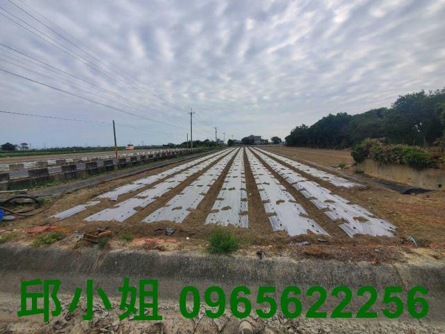 嘉義布袋農地-1