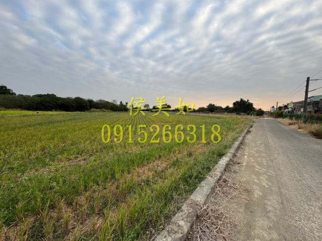 嘉義水上農地-1