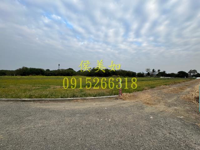 嘉義水上農地-3