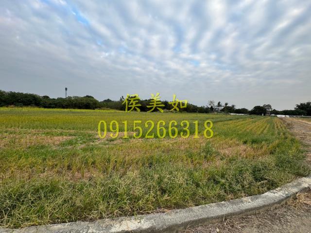 嘉義水上農地-5